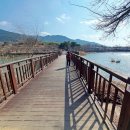 신라 진흥왕 행차길 이미지