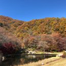 올드짐 하대점 이미지