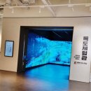 독도체험관 이미지