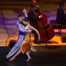 인지심리학 이미지