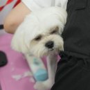 이뻐질개 이미지