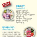 양키캔들 이미지