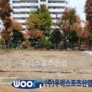 하안초등학교 이미지