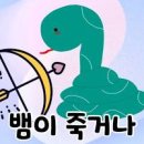뱀꿈 꿈해몽 뱀나오는꿈 죽은뱀꿈 방울뱀꿈 물뱀 거머리 꿈 이미지