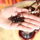 커피 마시는 코끼리 이미지