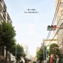 여동생만 있으면 돼 애니소개