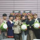 PANG&PANG(팡앤팡)