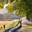 농부의 아침 이미지