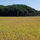 황금노래 - 정읍시 수성2로 35 | 황금노래