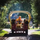 호박농장 이미지