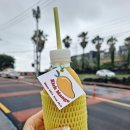 리치망고 도두해안로점 재방문
