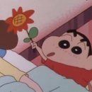 해리스플라워마켓연남점
