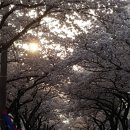 전농로한의원 이미지