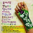 고고팩토리 이미지