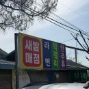 다온약초 | 철쭉 시즌 소백산 산행