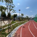 평창초등학교 이미지