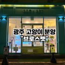 광주 고양이분양 브로스펫 네이버블로그