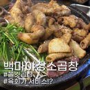 [일산맛집]백마 야장 소곱창 / 이런곳에 소곱창집이!? 찐맛집 찐후기