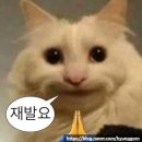 캘리포니아호텔 | 355. 룸즈에이 수원역 2호점 &lt; 호텔 캘리포니아 &gt; 수원 방탈출 후기
