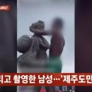 제주의 이유 티스토리