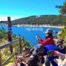 스마트폰으로 세상과 소통하다 이미지