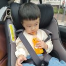한라봉관광 이미지