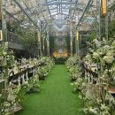 논현2-126 | [본식베뉴]빌라드지디 논현 웨딩홀 후기(계약O)