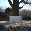 서계 고택 이미지
