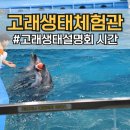 울산광역시남구도시관리공단(장생포고래생태체험관) | 장생포 고래생태체험관 공연 설명회 요일 시간