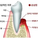행복미소치과의원 이미지