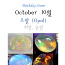 [중년살사 ]10월 [October] 태어 나신 분..(탄생석: 오팔) 이미지