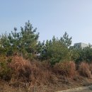 주와(JUWA) 이미지
