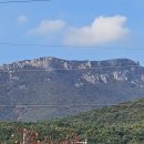 시장이반찬이다 이미지