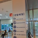 여름방학 클래식 <이상한 나라의 디토> 이미지