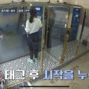 유폴24시 애견셀프목욕 이미지