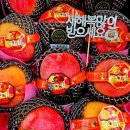 과일담 - 양산시 백호로 92 | 과일담