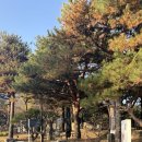 남양주 북한강 근교 드라이브 데이트코스 카페 추천!,”아유 스페이스”