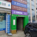 브루노뮤직 이미지