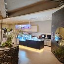 더도두 | 제주 도두해안 카페｜밤바다 보며 들른 할리스 방문 후기