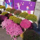 수원마을협동조합 이미지