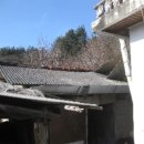 삼작로395번길 이미지