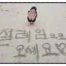 설레임PC 이미지