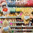 파크리움 (구:강남빌딩) | 삿포로 몬치치 파는곳 신치토세공항 쇼핑 르타오 치즈케이크 뉴욕퍼펙트치즈 면세점