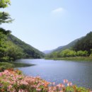 제천 성내관광지 이미지