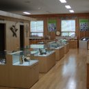 문성자연휴양림 이미지