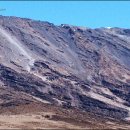 뽈레뽈레 이미지