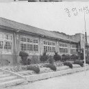 유치초등학교 이미지