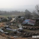 벌교동물병원 이미지