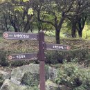 시민체육관(인공암벽장 외부 화장실) | 광명 도덕산, 도덕산 둘레길, 인공폭포, 도덕산 캠핑장 후기!