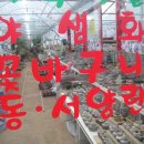 유림농원